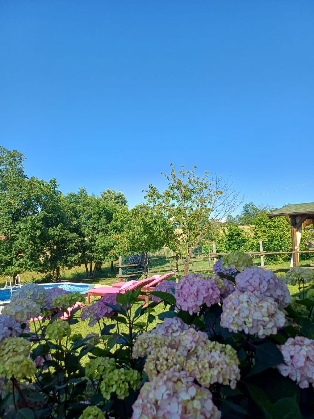 La Diligenza Bed & Breakfast Tagliolo Monferrato Exterior photo